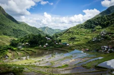 Philippine police move to arrest suspects in flood control graft case.webp