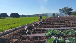 IFAD rehabilitates 5,200ha for smallholder farmers.webp