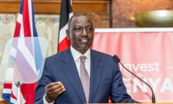 Ruto urges MSMEs to increase tax contributions for growth.webp
