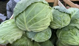 Fruit and veg prices drop across Bulgaria, potatoes rise.webp