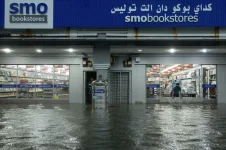 TNB cuts power in flood-hit areas to prevent disaster.webp