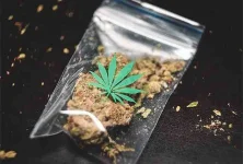 Drug dealer caught with dagga at Bindura farm.webp