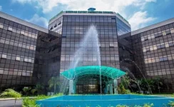 NEPC, CBI partnership boosts Nigeria’s ginger exports.webp