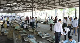 Jade lots fly off the shelves at Myanma Gems Emporium.webp