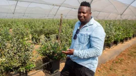 High Demand Drives Pea Prices Sky High.webp