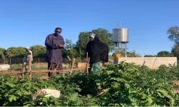 Misera Garden Transforms Women's Lives with Year-Round Farming.webp