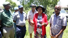Ruthless Panners Destroy Zimbabwe Cattle Haven.webp