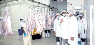Surging Digital Trade to Transform Kenya Economy.webp