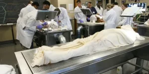 Zimbabwe medical schools beg for body donations as crisis grows.webp