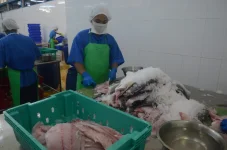 Myanmar’s fish boom reels in $200m as exports surge.webp