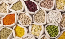 Tanzania’s pulses at risk as rains set to drop mid-season.webp