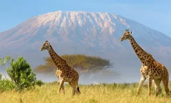 Tanzania wows world with wild wonders at Qatar travel expo.webp