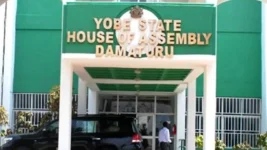 Yobe lawmaker flags messy health worker misconduct.webp