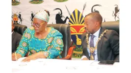 Harare kicks off city skills audit.webp