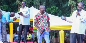 UDA losers get ambassador gigs days before Malava vote.webp