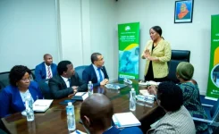 Tanzania drops wiring help for rural homes.webp