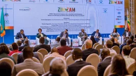 Zim-Zam energy summit kicks off, but will it be all talk.webp