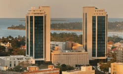 Tanzania central bank steps in, dollar auction calms forex market.webp