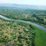 Ngono River revival thrills region, hopes for bumper harvests.webp