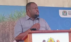 Morogoro fair buzzes, peace is the key to progress.webp