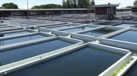 Waterworks tragedy strikes again, Harare reeling after triple loss.webp
