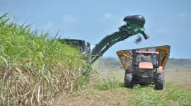 Clarendon sugar comeback begins, Tropical Sugar breaks ground.webp