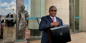 Education bags the biggest slice, Ncube spreads the cash.webp