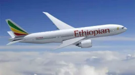 Ethiopian Airlines mega airport lands, $12.5b bid to link Africa.webp