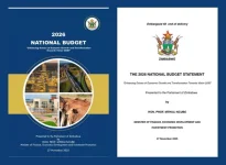Shoprite out-earns Zimbabwe, Ncube budget called tiny.webp