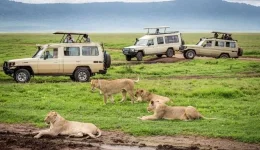 Italian tourists swoon over Tanzania, memories made for life.webp