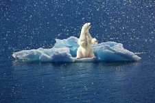 Paris deal gets legal teeth, climate laggards face courtroom heat.webp