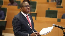 ZiG switch to be gradual, Ncube sets tough rules for mono-currency.webp