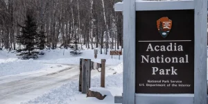 US parks slap $100 surcharge, tourists pay the price.webp