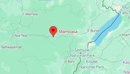 Uganda pounds ADF camps, militants scatter in Congo push.webp