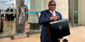 Zim budget branded a disaster, expert says misery is by design.webp