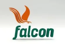 Energy& LLP takes stake in Falcon, gas sector confidence runs high.webp