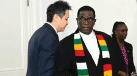 Wipo backs Zim innovation drive, new IP push gets the green light.webp