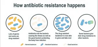 Drug resistance surges, united action key to save lives.webp