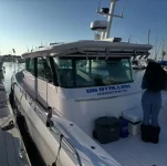 Klay Thompson names boat after Megan Thee Stallion, love on full display.webp
