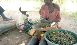 Govt accused of neglecting nodding syndrome crisis, families suffer.webp
