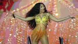 Megan Thee Stallion wins defamation case, blogger's lies backfire.webp