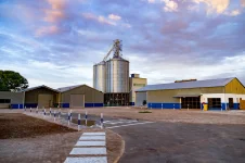 Hangala Foods launches Otavi Golden Maize meal.webp