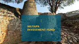 State assets hit the stock market, Mutapa bets on open books.webp