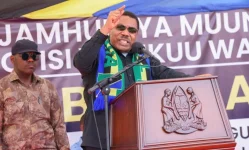 Tanzania bets big on startups to hit Vision 2050 goals.webp