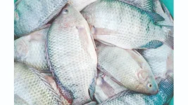 ProFishBlue revs up fish trade, feeds three million.webp