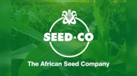 Seed Co sows resilience despite interim loss.webp