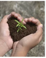 Nigeria’s soil crisis deepens, food security at risk.webp
