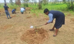 Nedbank and Dzikwa plant hope, trees grow futures.webp
