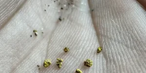 Gold worth $12 lands in Ruwa man's five years, harsh law stirs outrage.webp