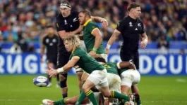 SA Rugby pulls back, World Cup dream stalls for now.webp